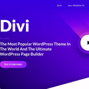 Divi Pro Theme with License Key