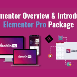 Elementor Pro